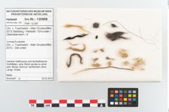 Foto von Textil (NHMW-PRAE-120968)